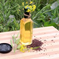 Best Quality Mustard Oil Cold Pressed Factory Price Bulk Edible Cooking Oil Suppliers for Worldwide Export Trade