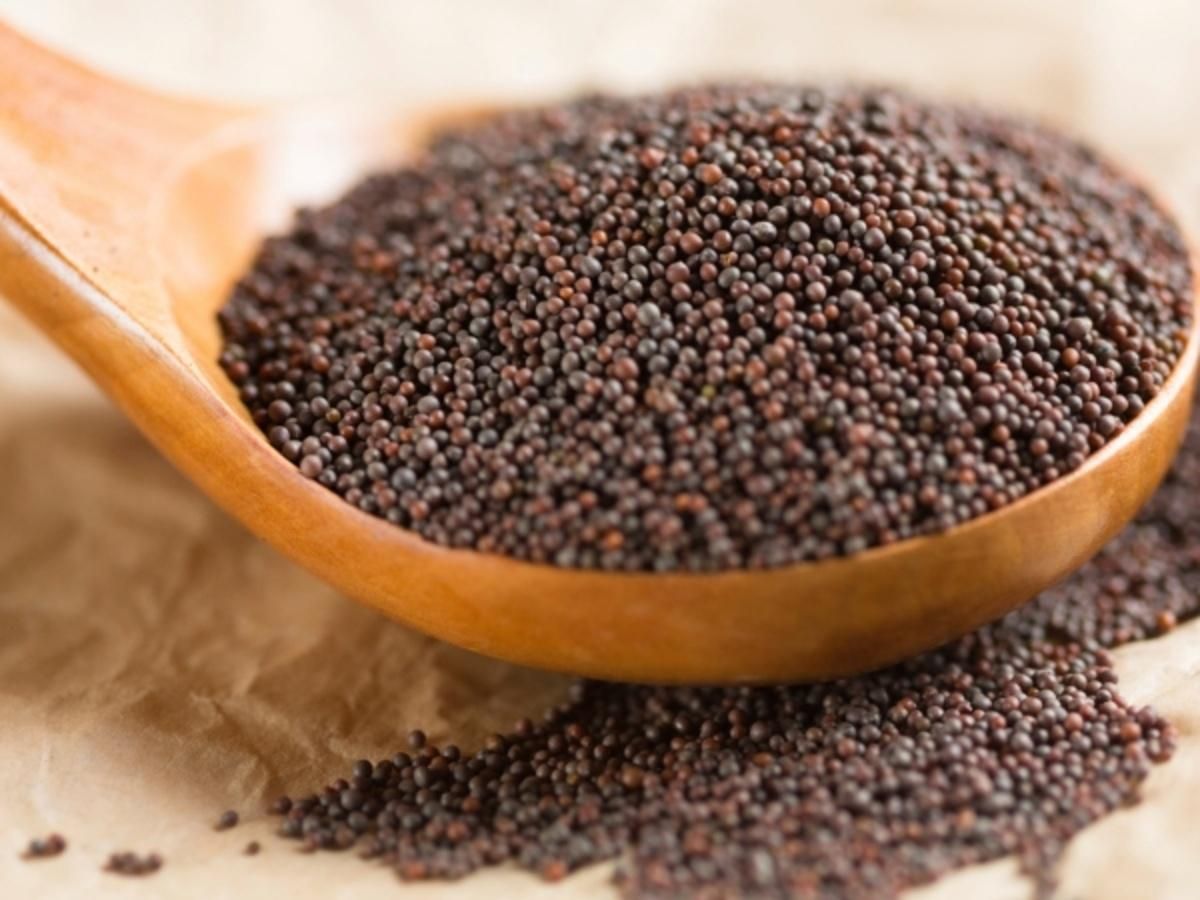 Factory Price Bulk Mustard Seeds Wholesale Yellow, Black & Brown Seeds for Spice Trade, Oil Extraction & Food Use