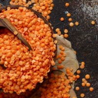 Wholesale Red Lentils Supplier Bulk Raw Whole Red Lentils Premium Quality Natural Red Lentils Factory Price