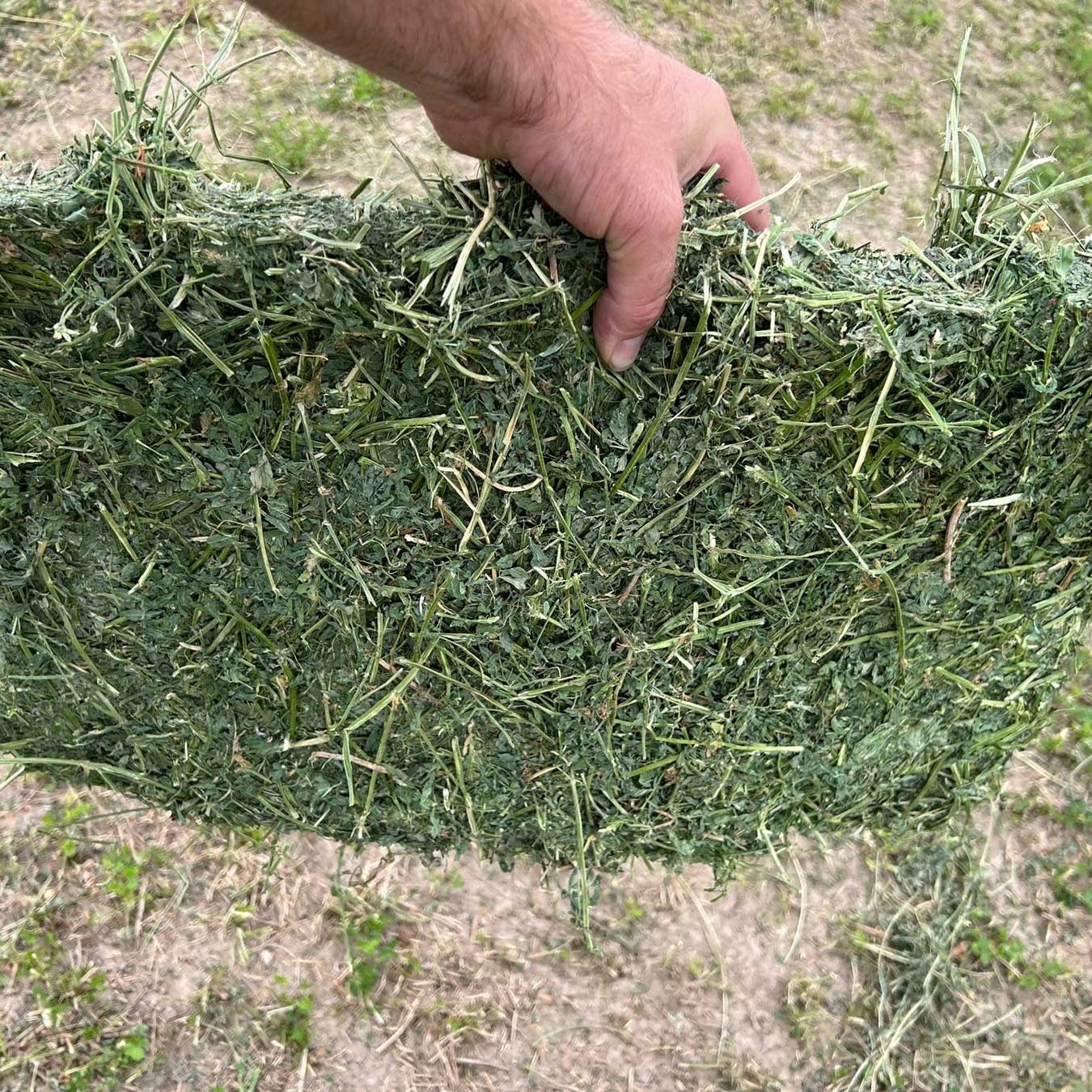 "Alfalfa Hay Bulk Supply Wholesale Premium Animal Feed Best Quality Factory Price Livestock Feed"