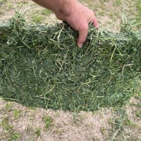 "Alfalfa Hay Bulk Supply Wholesale Premium Animal Feed Best Quality Factory Price Livestock Feed"