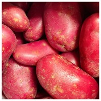 "Fresh Red Potatoes Wholesale Suppliers Direct from Farms Premium Quality Bulk Vegetables for Export"