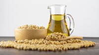 High Quality Refined Soybean Oil Wholesale Bulk Supply from Trusted Suppliers, Best Factory Price for Export