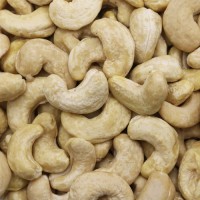 Wholesale Buy Bulk Cashew Nuts Online Raw Natural Premium Grade Cashews Best Quality Factory Price Bulk Order