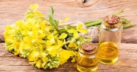 Top Grade Mustard Oil Wholesale Suppliers Bulk Cold Pressed Edible Cooking Oil Best Quality Export Worldwide