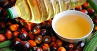 Buy Bulk Crude Palm Oil Online Premium Quality, Wholesale Supplier, Competitive Price, Fast Worldwide Shipping
