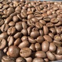 Wholesale Bulk Arabica & Robusta Coffee Beans Raw Green Coffee Beans High Quality Fresh Coffee Beans for Roasting