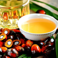 Best Quality RBD Palm Olein CP6 CP8 CP10 Bulk Wholesale Cooking Oil Factory Price with Global Export Service