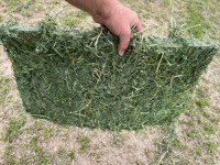 "Premium Alfalfa Hay Wholesale Supplier Bulk Feed for Cattle Horses Rabbits Factory Price Best Quality"