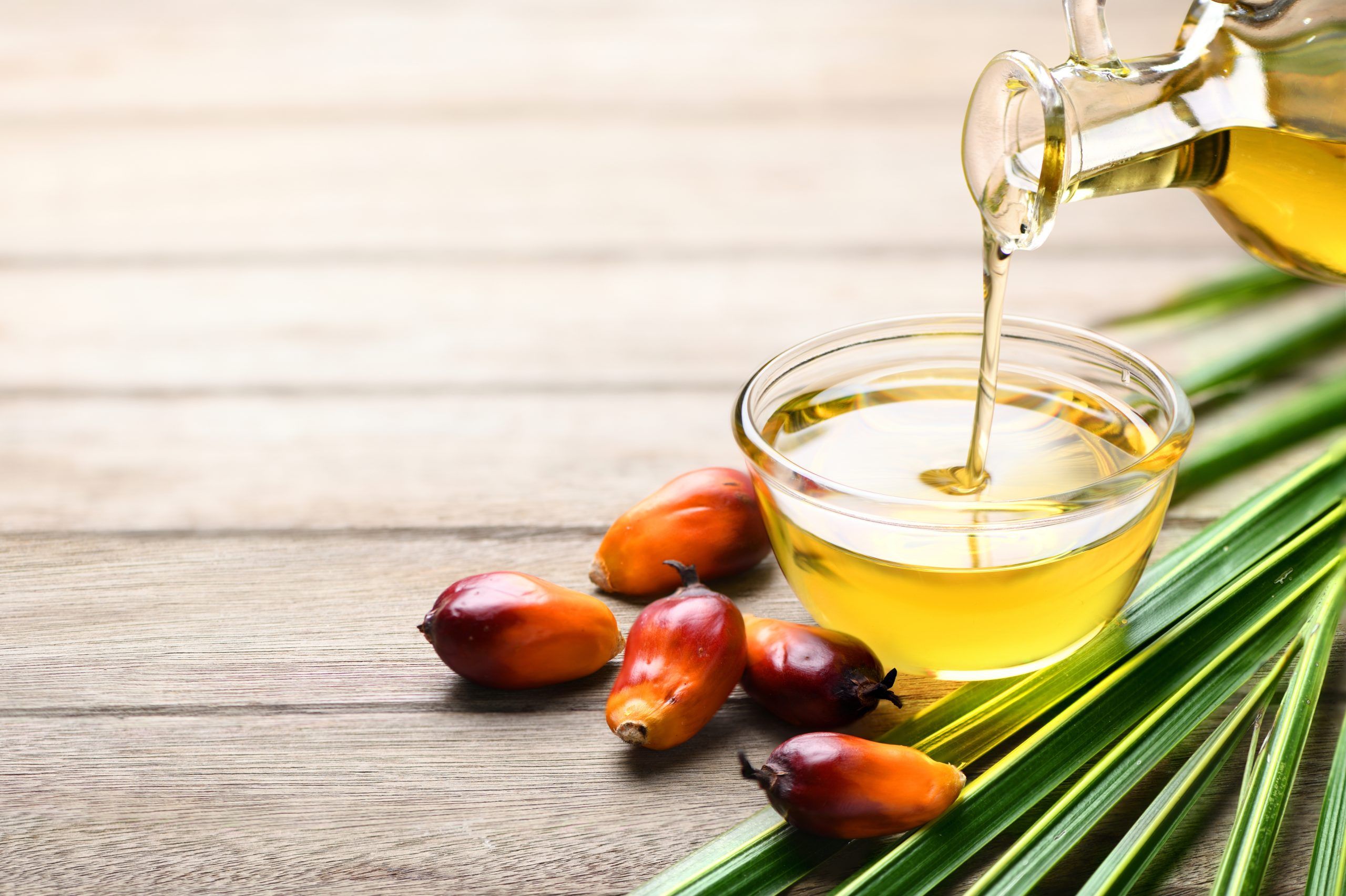 Premium Bulk Crude Palm Oil Buy Online from Trusted Supplier, Best Wholesale Price, Fast and Safe Delivery