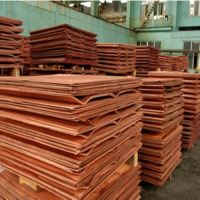 Premium Copper Cathode Wholesale Supplier, High Purity Electrolytic Copper Cathode for Industrial Use, Bulk Price