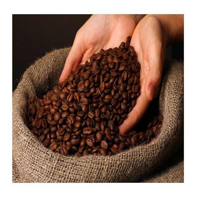 Raw Bulk Coffee Beans Arabica & Robusta Green Coffee Beans Wholesale Fresh High Quality Coffee Beans for Roasting