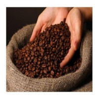Raw Bulk Coffee Beans Arabica & Robusta Green Coffee Beans Wholesale Fresh High Quality Coffee Beans for Roasting