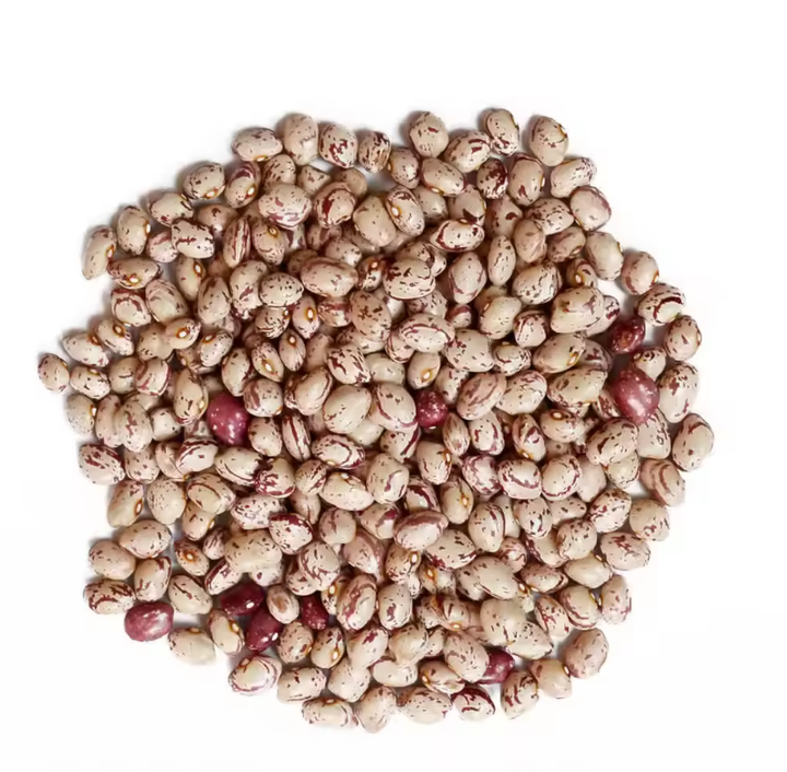 Premium Pinto Beans Wholesale Suppliers | Bulk Export Dry Pinto Beans at Competitive Factory Price Worldwide