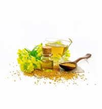 Wholesale Pure Mustard Oil Cold Pressed Factory Price Cooking Oil Bulk Suppliers for Export Worldwide Delivery