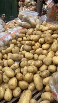 Premium Yellow Potatoes Natural Fresh Bulk Wholesale Hot Selling Farm Fresh Supplier