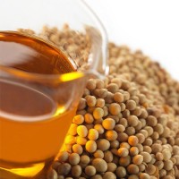 High Quality Refined Soybean Oil Wholesale Bulk Supply from Trusted Suppliers, Best Factory Price for Export