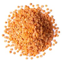 Bulk Red Lentils Wholesale Supplier High Quality Whole Red Lentils Natural Raw Red Lentils Factory Direct Sale