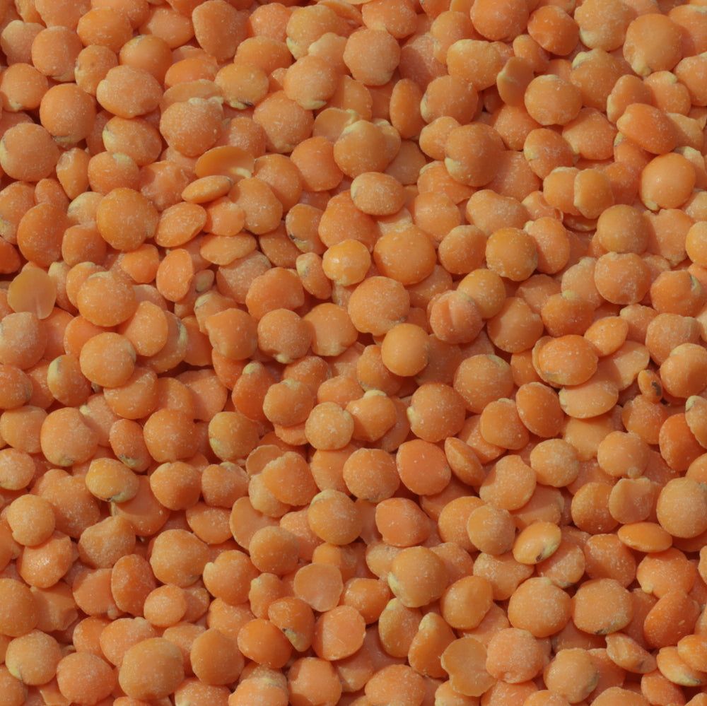 Red Lentils Wholesale Supplier Bulk Red Lentils Premium Quality Raw Whole Red Lentils Factory Price Best Deal