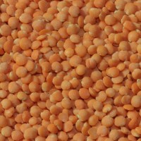 Red Lentils Wholesale Supplier Bulk Red Lentils Premium Quality Raw Whole Red Lentils Factory Price Best Deal