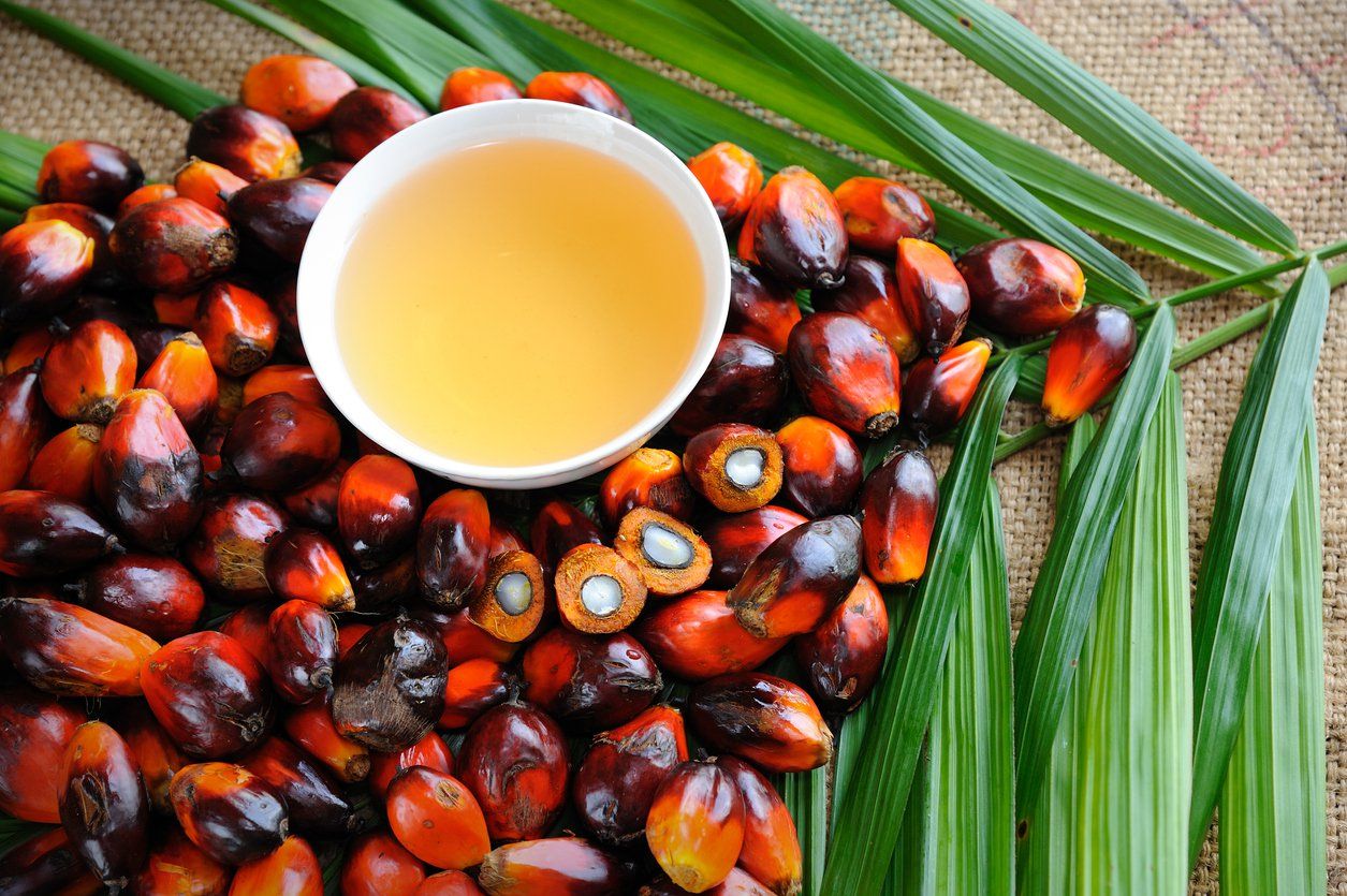 Wholesale Bulk Crude Palm Oil for Sale 100% Pure, Fresh, Factory Direct Price, Global Export and Online Ordering