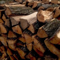 Wholesale Bulk Dried Oak Firewood Online High Quality Hardwood Logs for Home Heating Outdoor BBQ Fireplace Stove