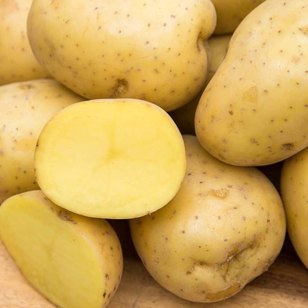 Yukon Gold Potatoes Fresh Premium Quality Wholesale Best Taste High Nutrition Bulk Supply Factory Price