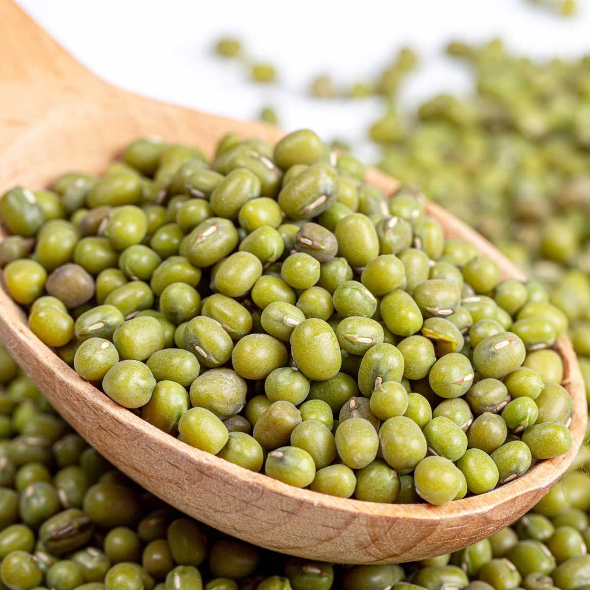 Buy Bulk Green Mung Beans Online | High Quality Natural Green Moong Beans | Wholesale Price | Fast Delivery