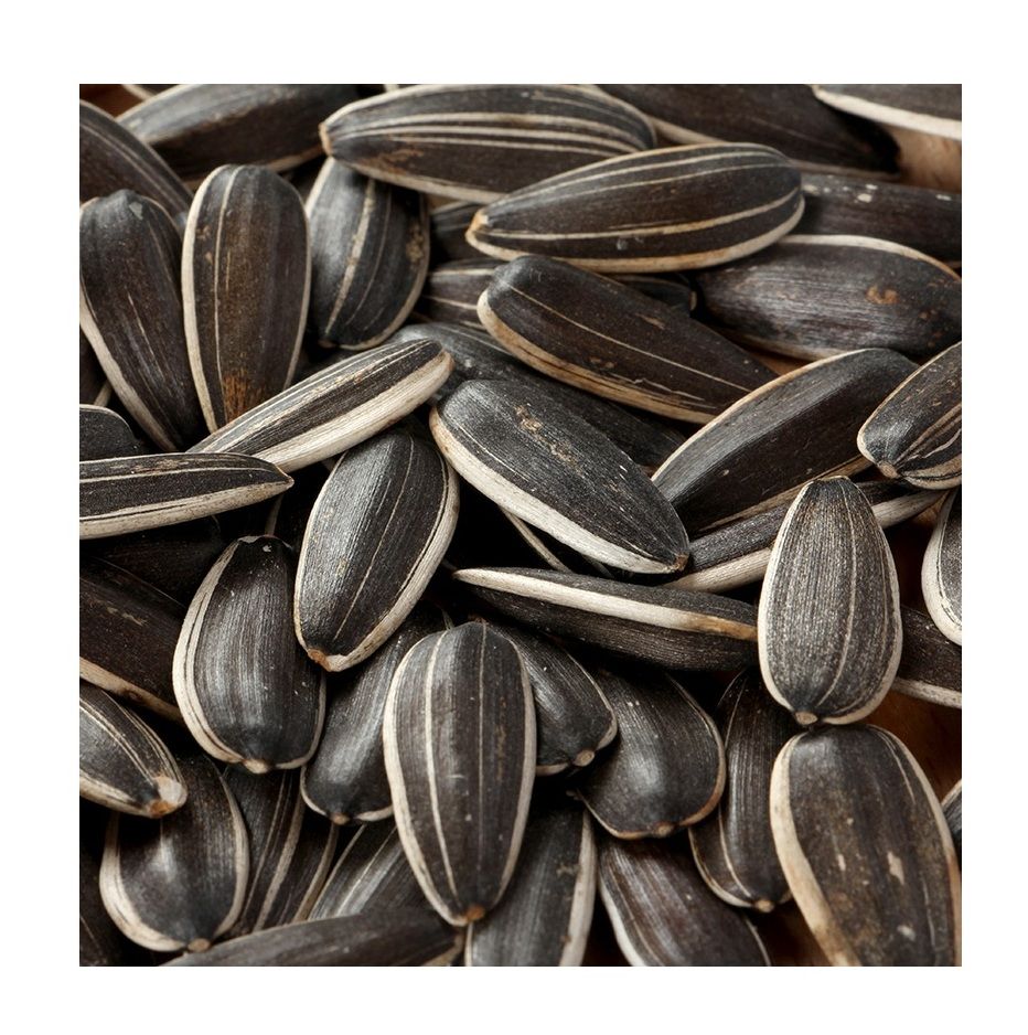 High Quality Bulk Sunflower Seeds Wholesale, Natural Raw Sunflower Seeds for Bird Feed and Oil, Factory Price Online