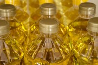 Refined Canola Oil Wholesale Suppliers – Pure Edible Oil Bulk Supply Factory Direct Price for Export Market