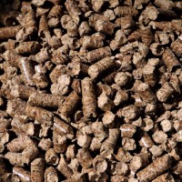 Wholesale Biomass Wood Pellets for Power Plants | Factory Direct Supply Renewable Heating Fuel Export Suppliers