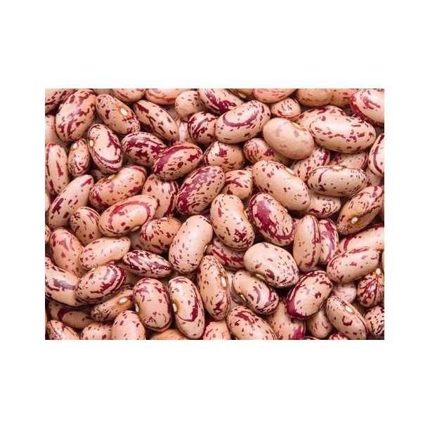 Trusted Pinto Beans Wholesale Suppliers | Organic Bulk Pinto Beans Factory Price for Retailers & Distributors