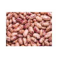 Trusted Pinto Beans Wholesale Suppliers | Organic Bulk Pinto Beans Factory Price for Retailers & Distributors