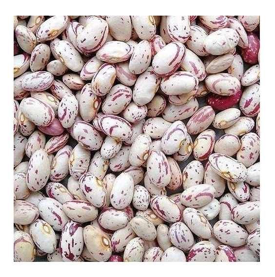 Trusted Pinto Beans Wholesale Suppliers | Organic Bulk Pinto Beans Factory Price for Retailers & Distributors
