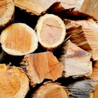 High Quality Bulk Oak Firewood Online Wholesale Dried Hardwood Logs for Stove Fireplace Outdoor BBQ Heating Use