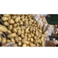 Organic Yellow Potatoes Premium Quality Fresh Farm Direct Bulk Wholesale Best Price Supplier