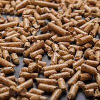 Wholesale Biomass Wood Pellets for Power Plants | Factory Direct Supply Renewable Heating Fuel Export Suppliers