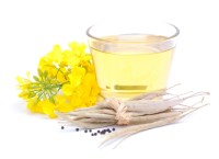 Refined Canola Oil Wholesale Suppliers – Pure Quality Edible Cooking Oil Bulk Factory Price for Export Sale