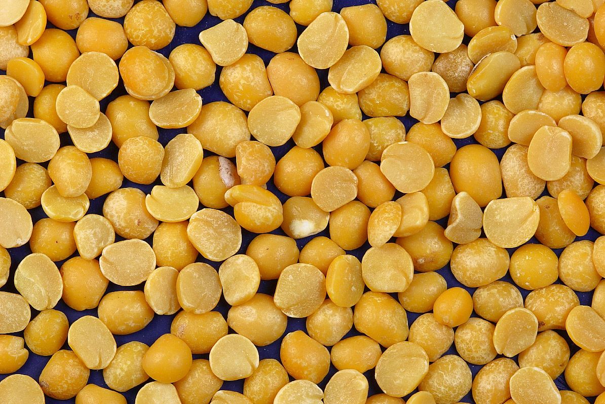Wholesale Yellow Split Peas Bulk Supply Best Quality, Factory Price, Fresh Harvest, and Hot Selling Pulses for Export