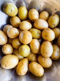 Fresh Yukon Gold Potatoes Premium Grade Wholesale Bulk Supply Best Quality Direct From Farm Factory Price