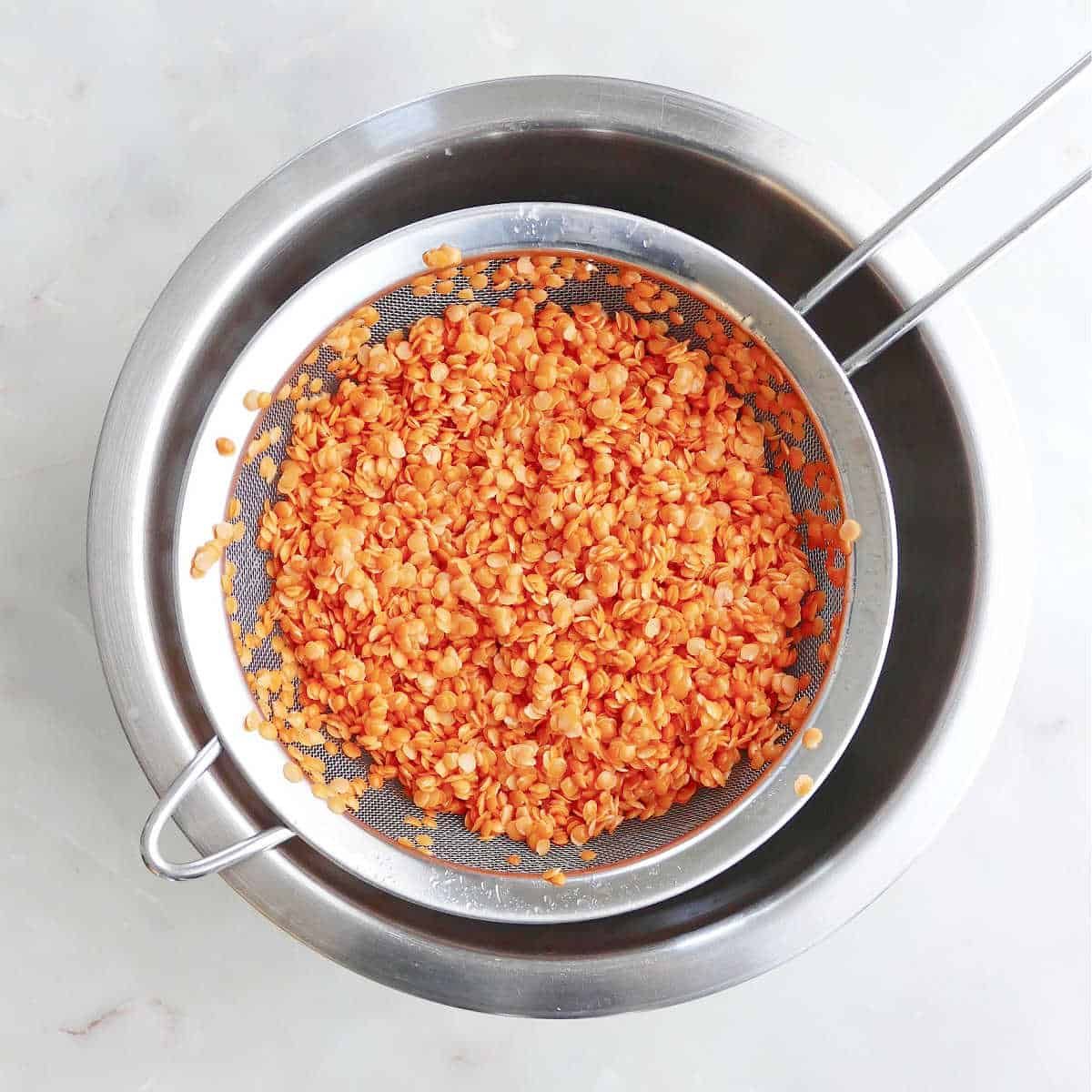 Premium Red Lentils Wholesale Supplier Bulk Raw Whole Red Lentils Best Quality Factory Price Direct Supply