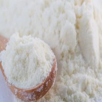 “Wholesale Skimmed Milk Powder Suppliers Bulk Export Best Quality Milk Powder Factory Price”