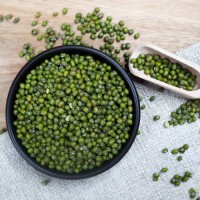 Green Mung Beans Bulk Sale | Premium Natural Moong Beans | Wholesale Supplier | Buy Online | Factory Price