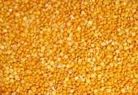 Yellow Split Peas Wholesale Buy in Bulk for Best Quality, Factory Price, Fresh Crop, and Reliable Global Export