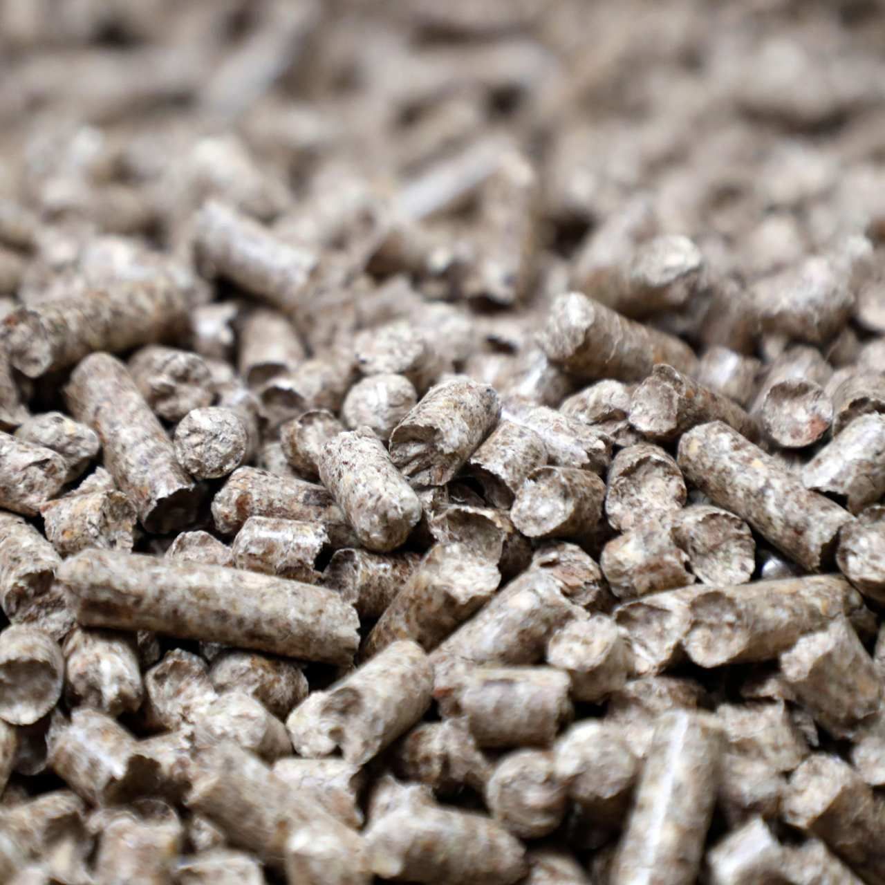 Hot Selling Biomass Wood Pellets for Heating Fuel | Wholesale Factory Price Renewable Energy Suppliers Exporter