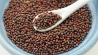 Hot Selling Bulk Mustard Seeds Organic Yellow, Brown & Black Varieties, Wholesale Price