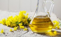 Top Quality Refined Canola Oil Wholesale Suppliers – Pure Edible Cooking Oil Bulk Best Price for Export