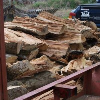 Bulk Oak Firewood Online Wholesale Premium Dried Hardwood Logs for Stove Fireplace BBQ Camping Heating Supply