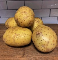 Premium Yukon Gold Potatoes Fresh Wholesale Bulk Supply High Quality Natural Farm Direct Factory Price