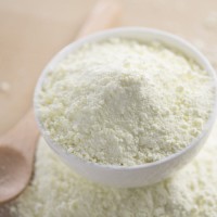 "Full Cream Milk Powder Wholesale Bulk Suppliers Premium Quality Dairy Powder Factory Direct"